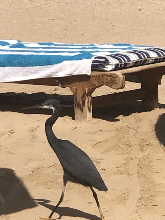 Strand Casa Mare Resort