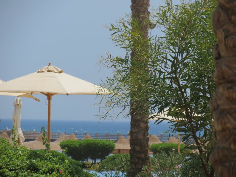 Der Blick zum Meer Cleopatra Luxury Resort Makadi Bay
