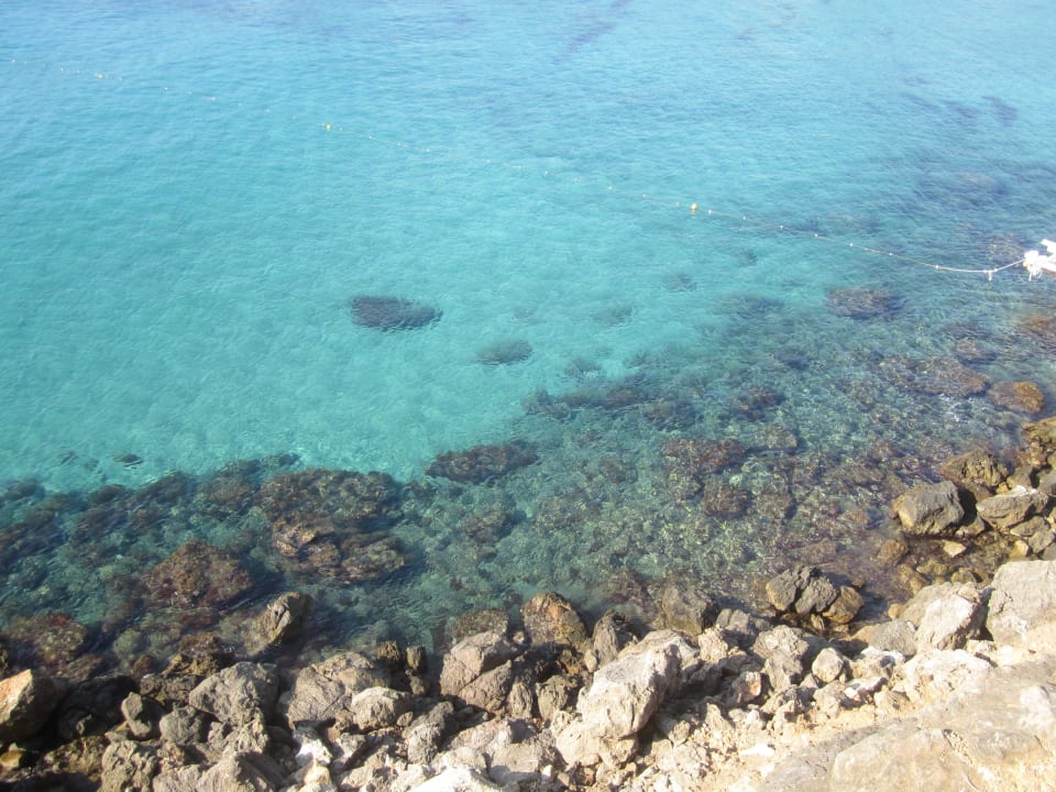 Kristallklares Wasser Cala Llenya Resort Ibiza