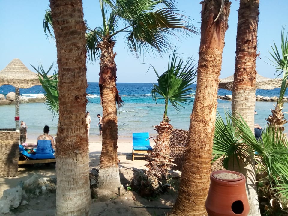 Strand Pickalbatros Citadel Resort