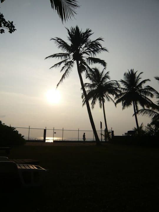 Wenn der Zaun nicht wäre Earl’s Reef Beruwala