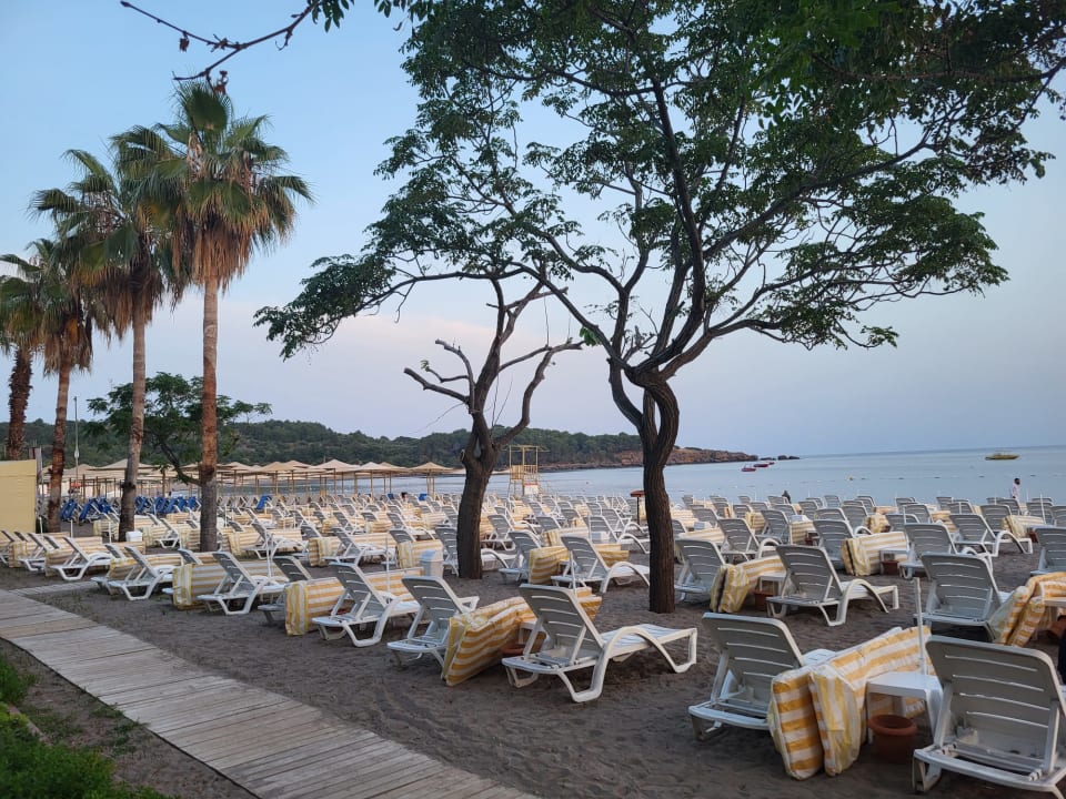 Strand Hotel Gardenia Beach