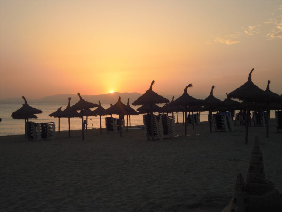 Strand am Ballermann 6 Hotel Riu Bravo