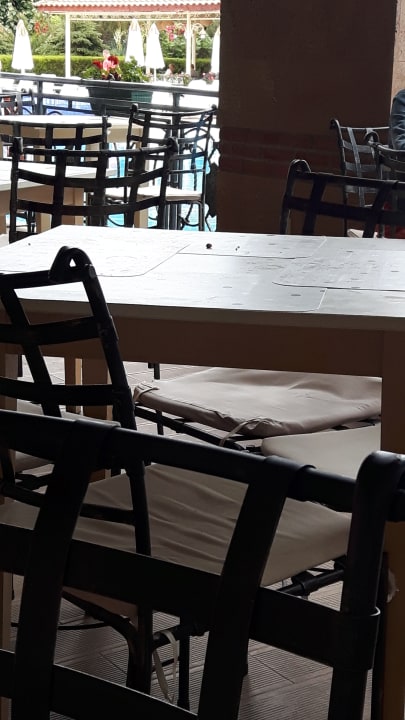 Restaurant Alba Sunny Beach