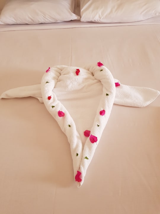 Ein Herz vom Roomboy  Desert Rose