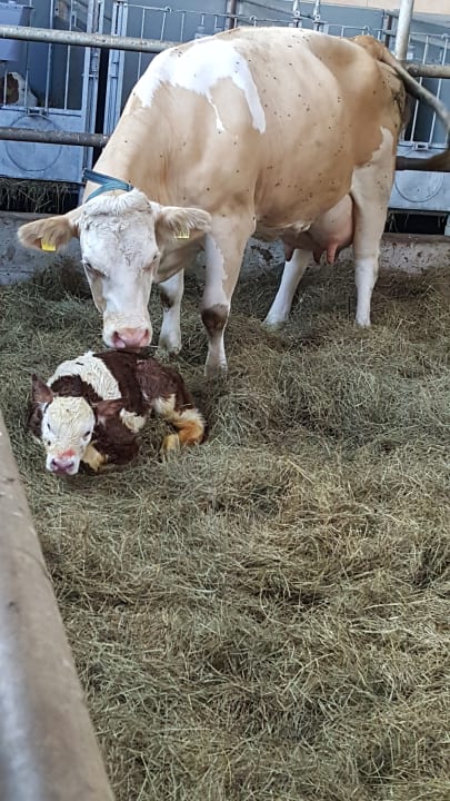 Sonstiges Bernwieserhof