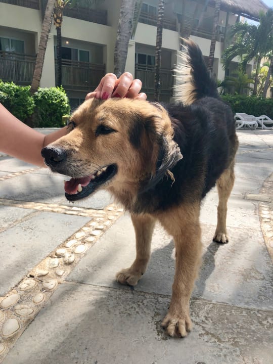 Gartenanlage Lagoon Attitude - Adults only