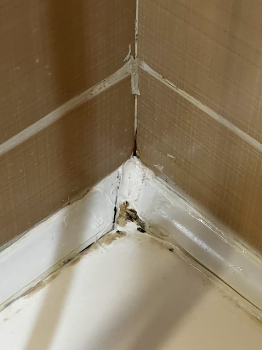 Zimmer Latanya Park Resort