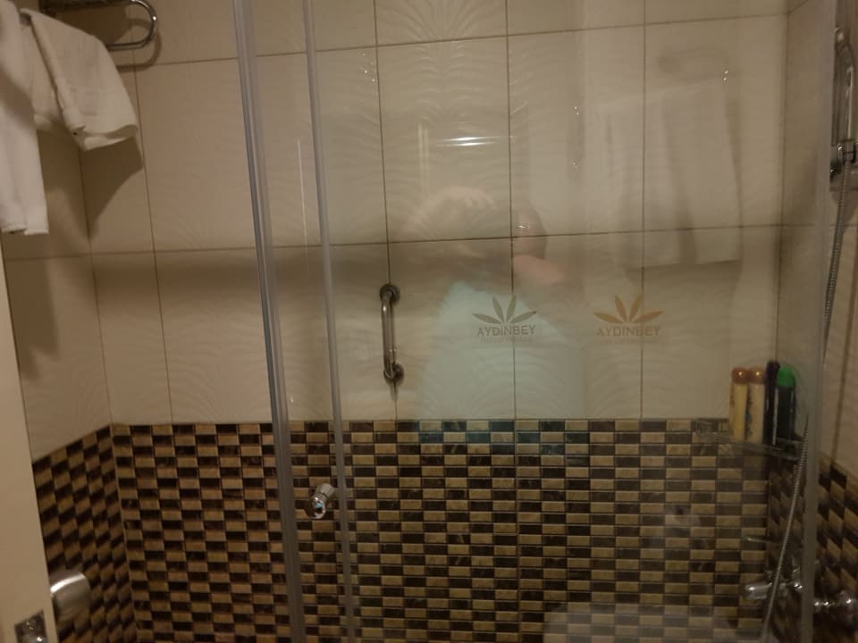 Zimmer Aydinbey Kings Palace & Spa