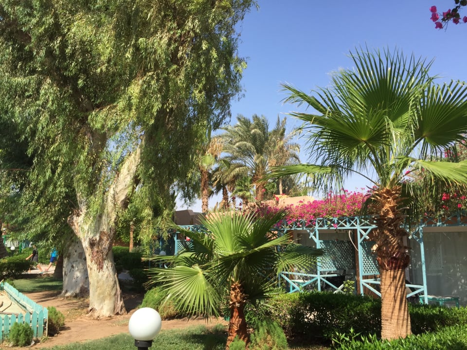 Alles schön gepflegt Giftun Azur Resort