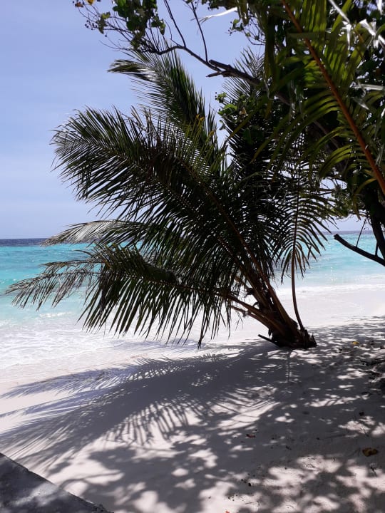 Strand Eri Maldives