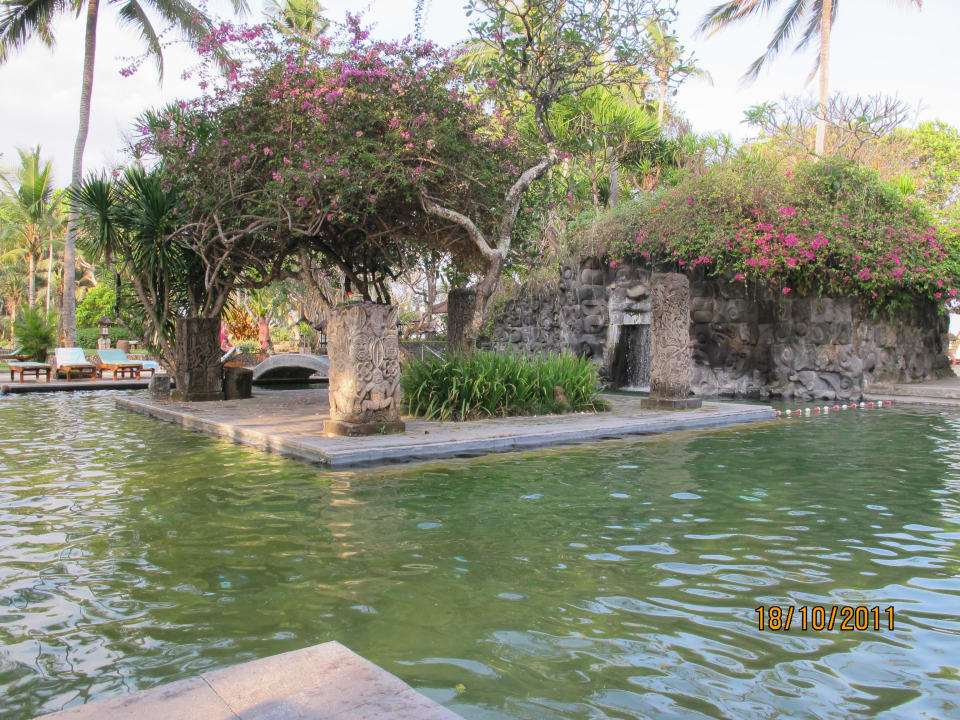 "grüner Pool" Hyatt Regency Bali