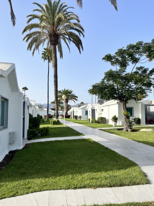 Gartenanlage Canary Garden Club