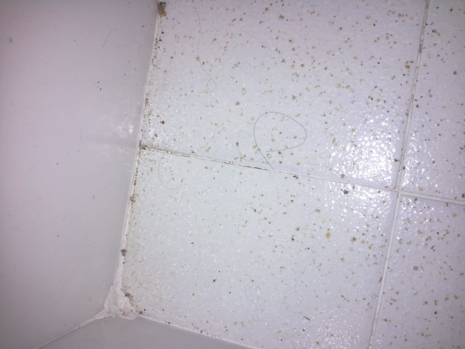 Sauberes Bad? Hotel Club Cala Romani