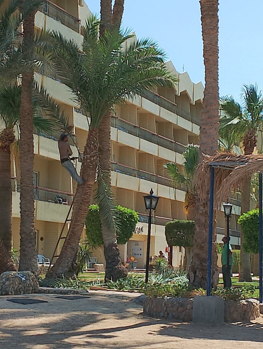 Außenansicht Regina Resort and Aqua Park Hurghada