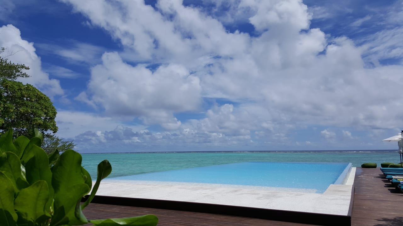 Pool Summer Island Maldives
