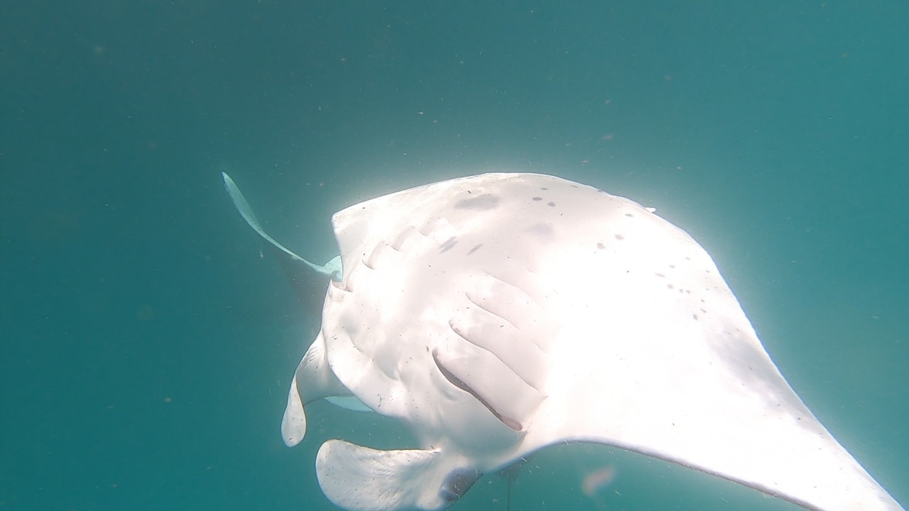 Sport & Freizeit NH Collection Maldives Reethi Resort