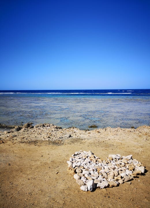 Strand Malikia Resort Abu Dabbab