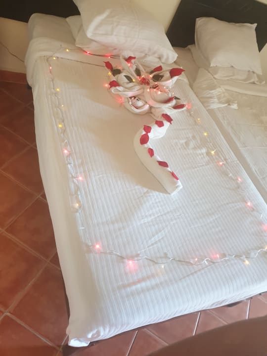 Zimmer Three Corners Sea Beach Resort