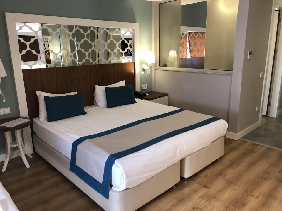 Zimmer Seashell Vega