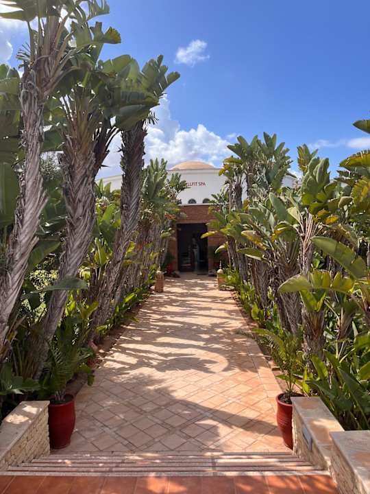 Gartenanlage ROBINSON AGADIR