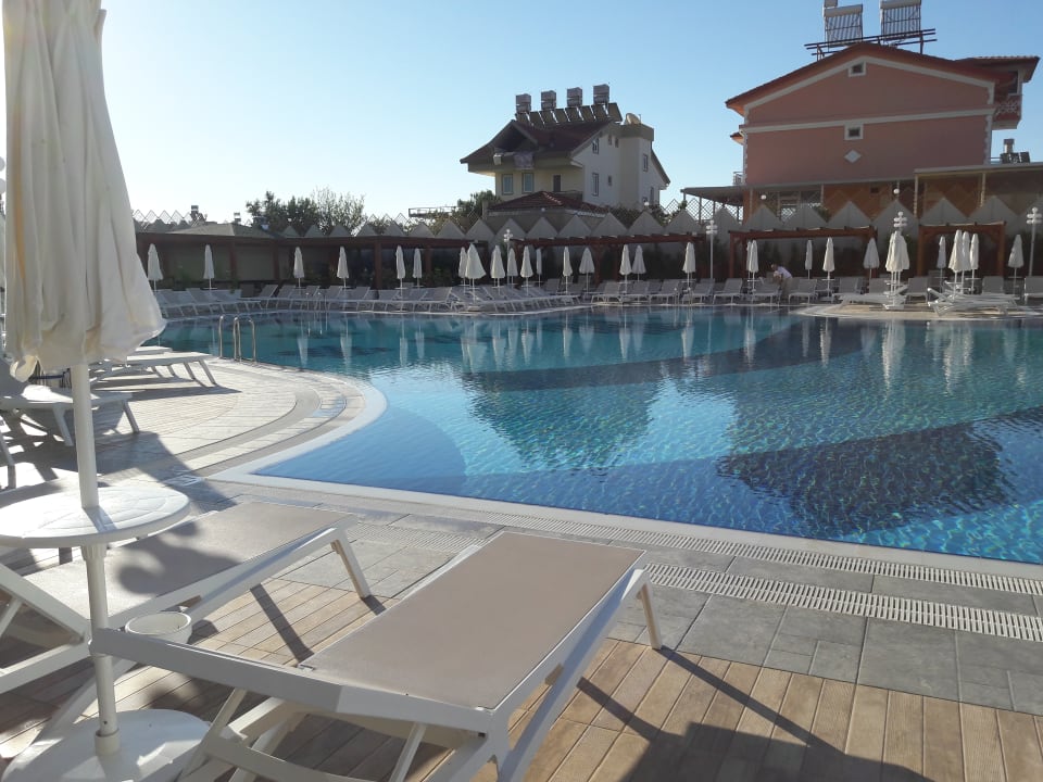 Hauptpool Seashell Vega