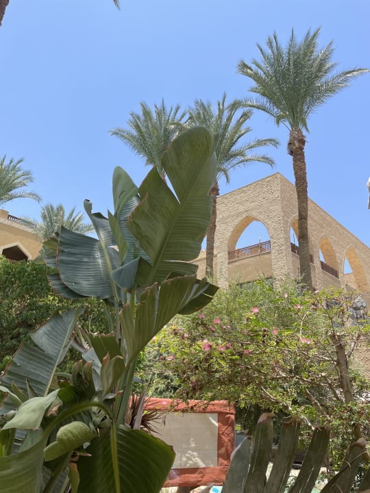 Gartenanlage Grand Waterworld Makadi & Family Star Makadi