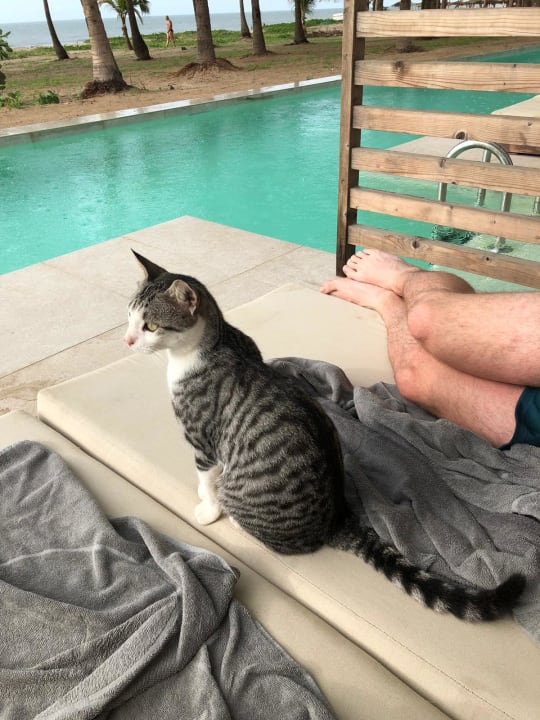 Sonstiges TUI BLUE Tamala