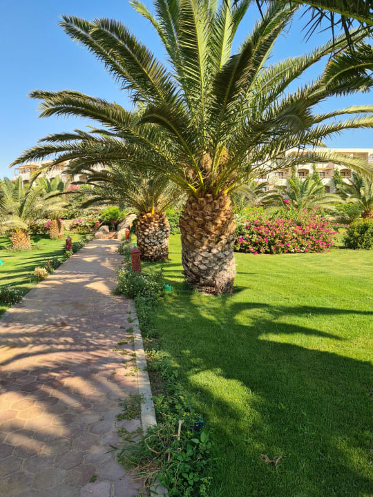 Gartenanlage Fort Arabesque Resort, Spa & Villas
