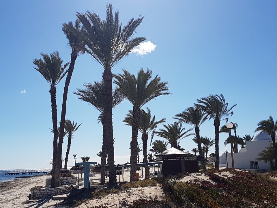 Strand Hotel El Mouradi Djerba Menzel