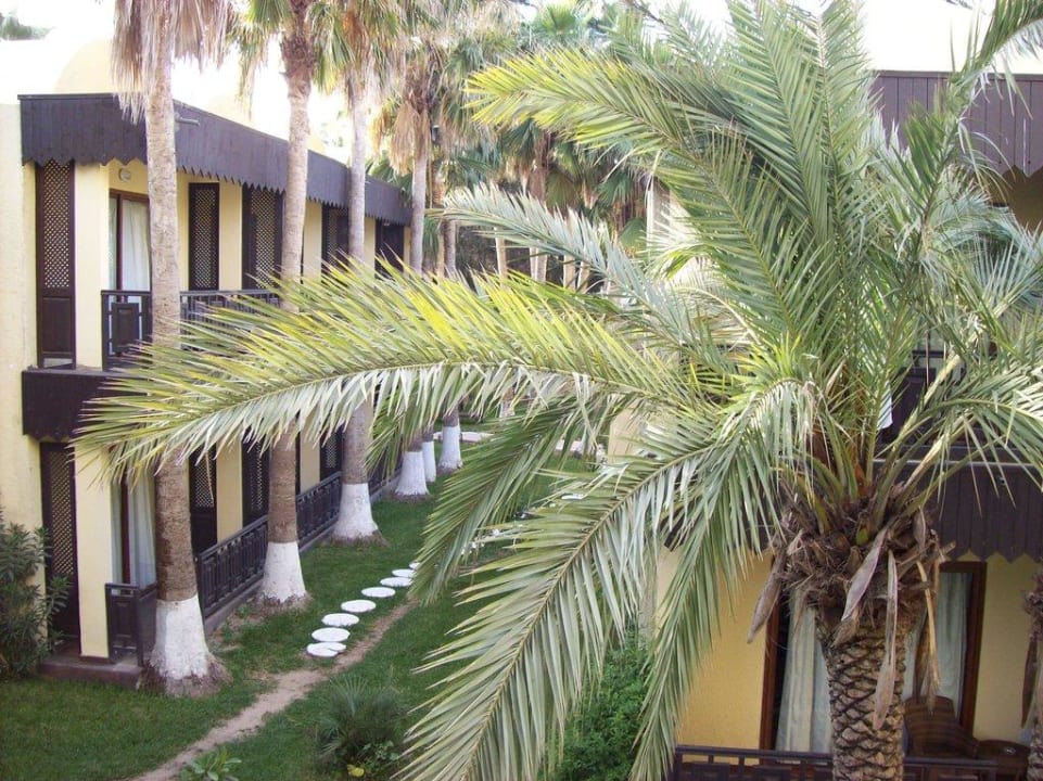 Ausblick in den Garten Hotel Paradis Palace