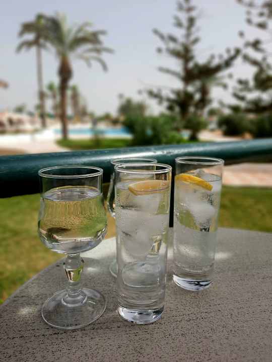 Gastro Djerba Plaza Thalasso & Spa