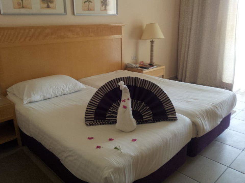 Jeden Tag ein anderes Handtuchtier :-) Hotel JAZ Makadi Star & Spa
