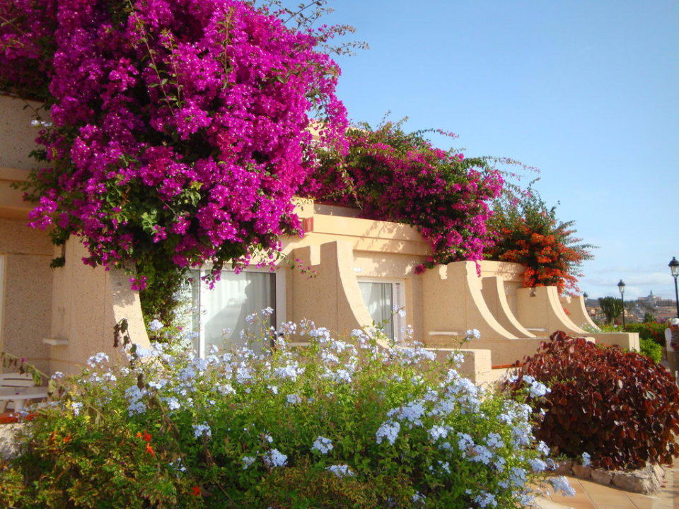 Zimmer in Strandnähe SBH Hotel Taro Beach