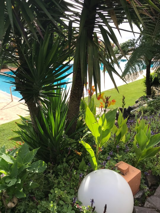 Ausblick Hotel Quinta Splendida Wellness & Botanical Garden