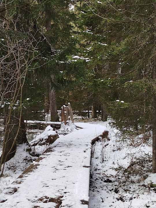 Sonstiges Almwellness Hotel Pierer