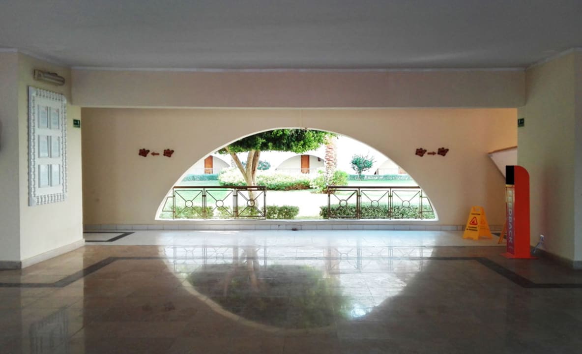 Sonstiges Desert Rose