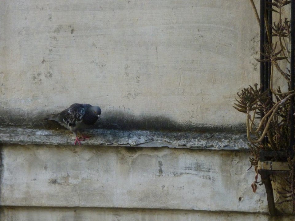 Innenhofblick B&B Hotel Napoli