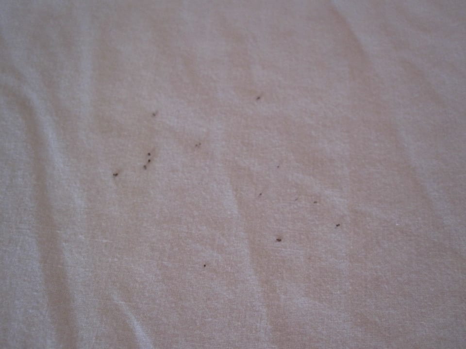 Betthygiene Shams Alam Beach Resort