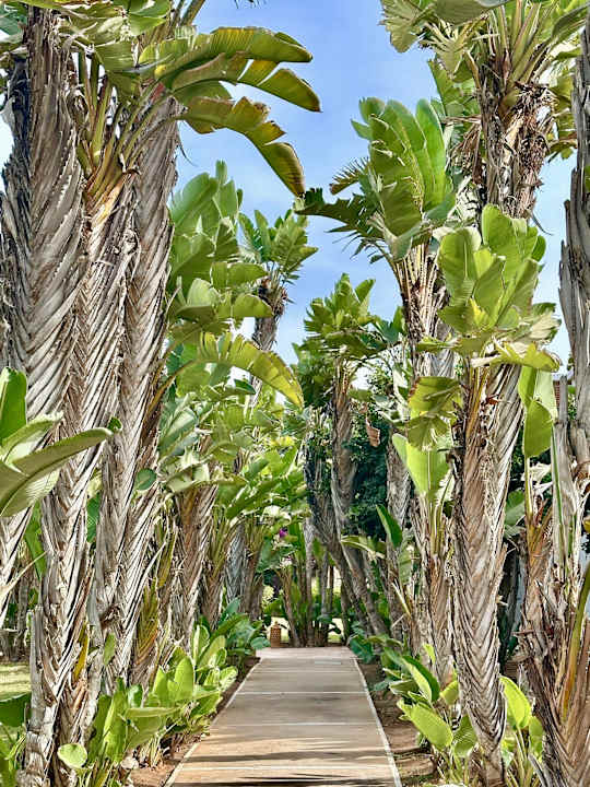 Gartenanlage ROBINSON AGADIR