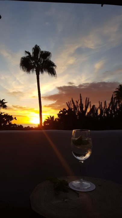 Ausblick Dreams Jardín Tropical