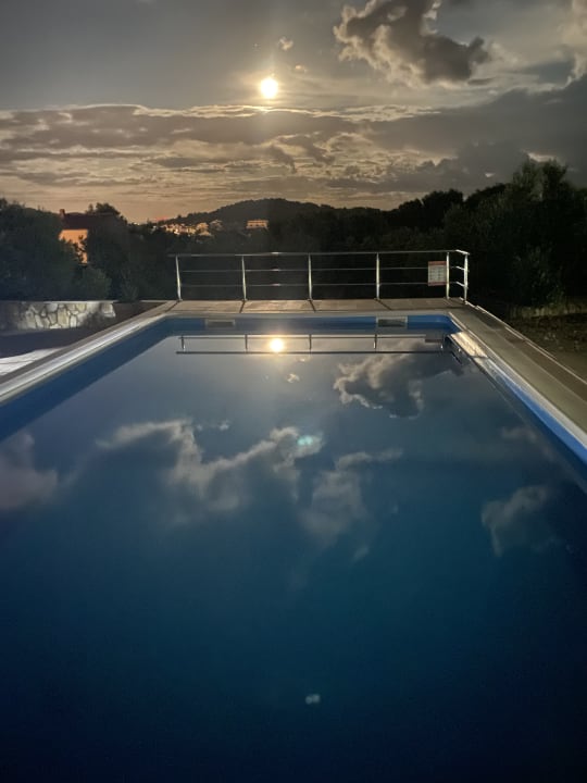 Pool Apartments Olive trees