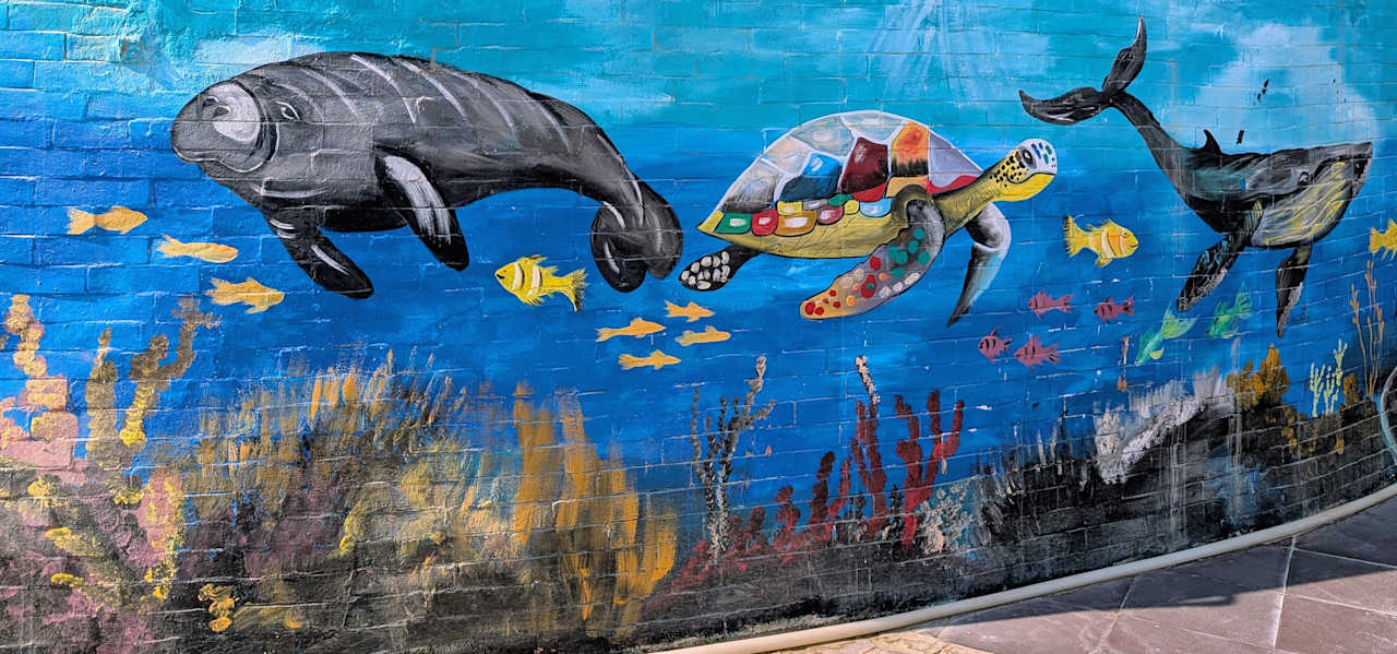 Strand Malikia Resort Abu Dabbab