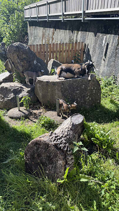 Außenansicht Hotel Urirotstock