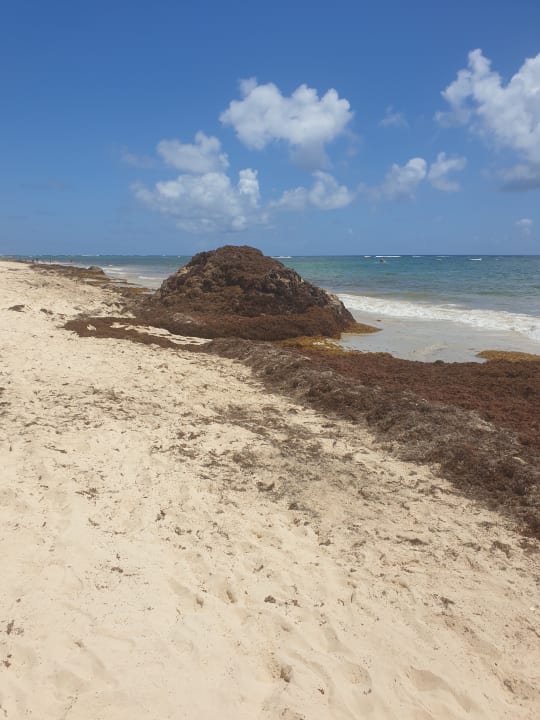 Strand Hotel Riu Palace Punta Cana