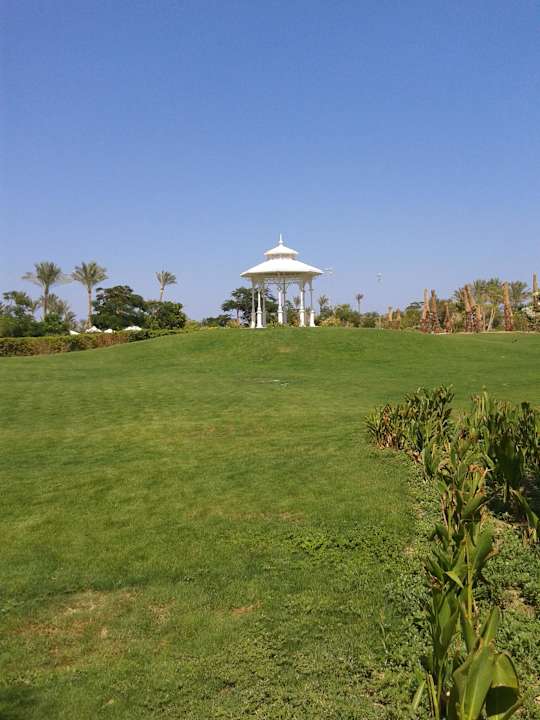 Der Rasen sehr gut zu gehn Steigenberger ALDAU Beach Hotel