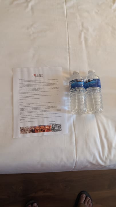 Zimmer Hilton Garden Inn Sevilla