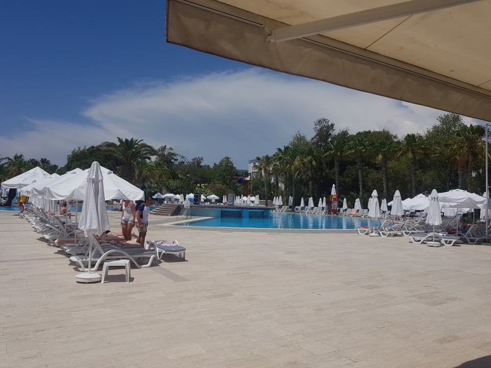 Pool Hotel Botanik Platinum