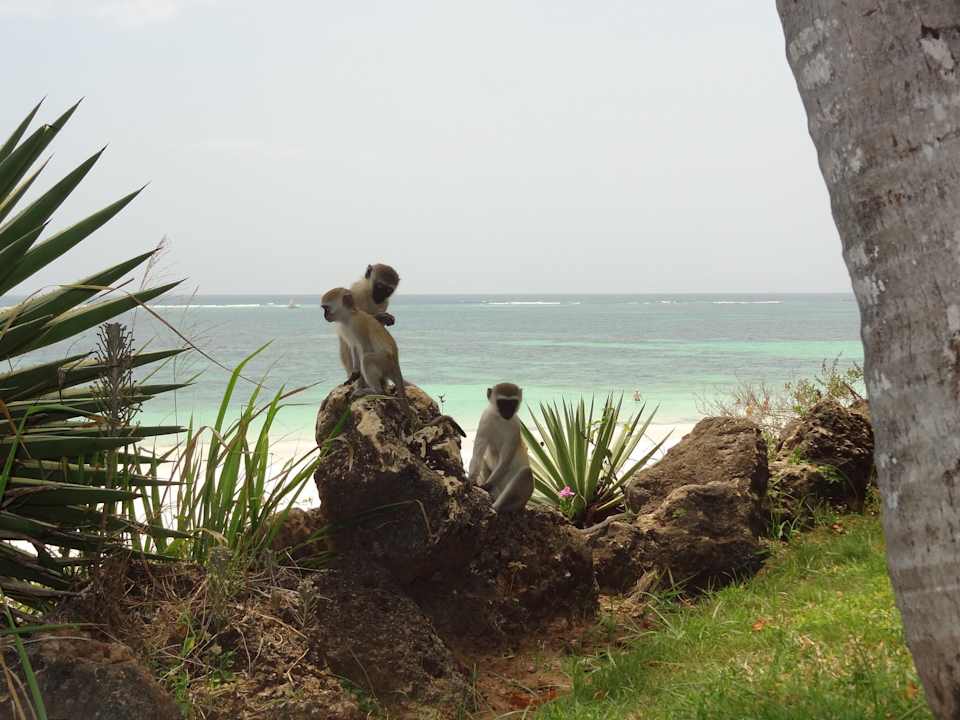 Hotel Baobab Beach Resort Baobab Beach Resort & Spa