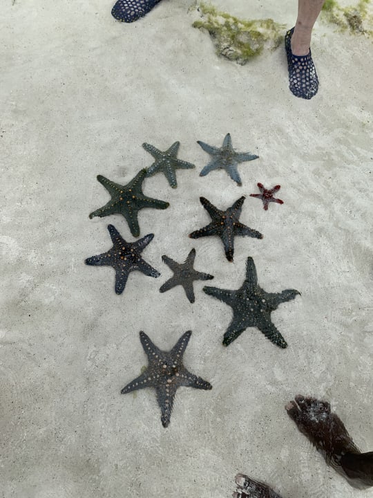 Strand Ocean Paradise Resort & Spa